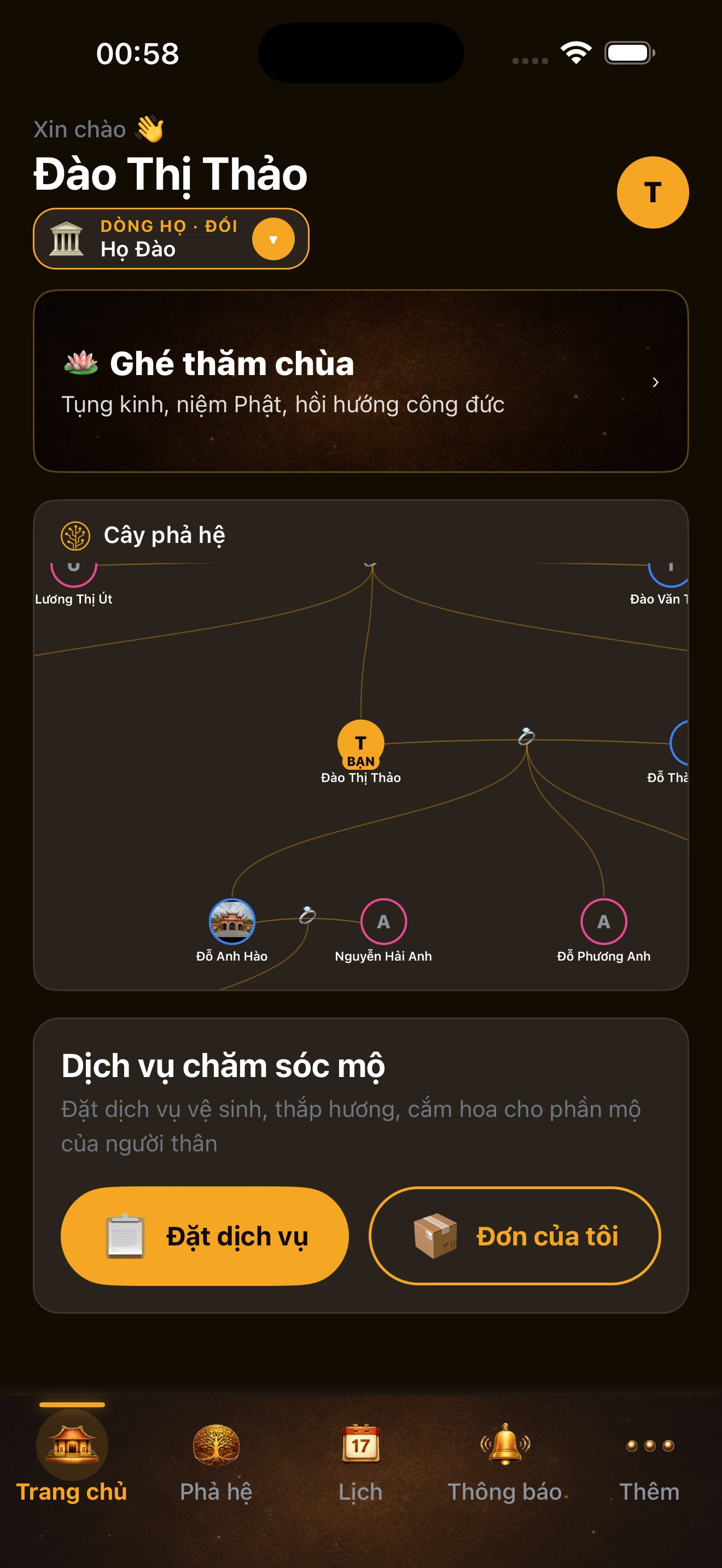 Đại Việt Phả on iOS — Home